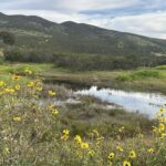 LauraBenedict_ProctorValley2-23