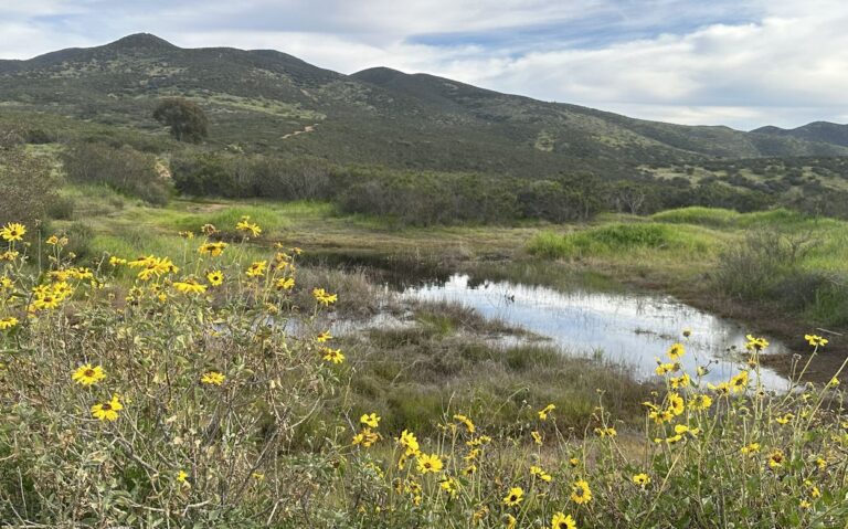 LauraBenedict_ProctorValley2-23