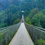 a5476f23-79fe-4764-b1e7-c0aba071eda5-1757630395509-ccdd4c76111d74bde7e05dc3f849f0a8