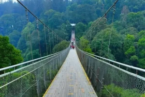 a5476f23-79fe-4764-b1e7-c0aba071eda5-1757630395509-ccdd4c76111d74bde7e05dc3f849f0a8